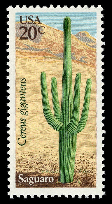 One (1) vintage unused postage stamps - Desert plants: saguaro // 20 cent stamps // Face value 0.20