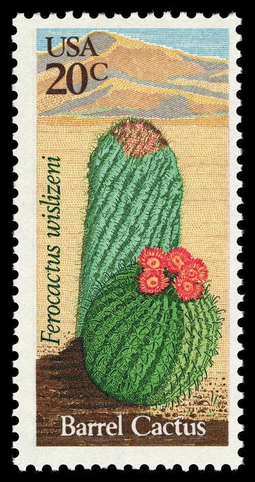 One (1) vintage unused postage stamps - Desert plants: barrel cactus // 20 cent stamps // Face value 0.20