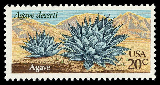 One (1) vintage unused postage stamps - Desert plants: agave // 20 cent stamps // Face value 0.20