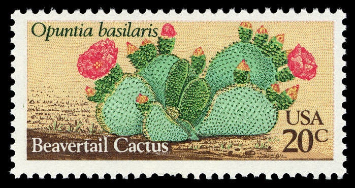 One (1) vintage unused postage stamps - Desert plants: beavertail cactus // 20 cent stamps // Face value 0.20