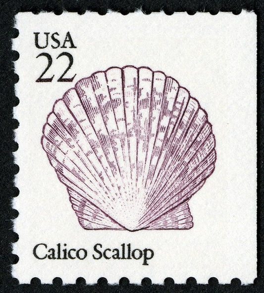 Five (5) vintage seashell postage stamps - Calico Scallop seashell // 22 cent stamps // face value 1.10