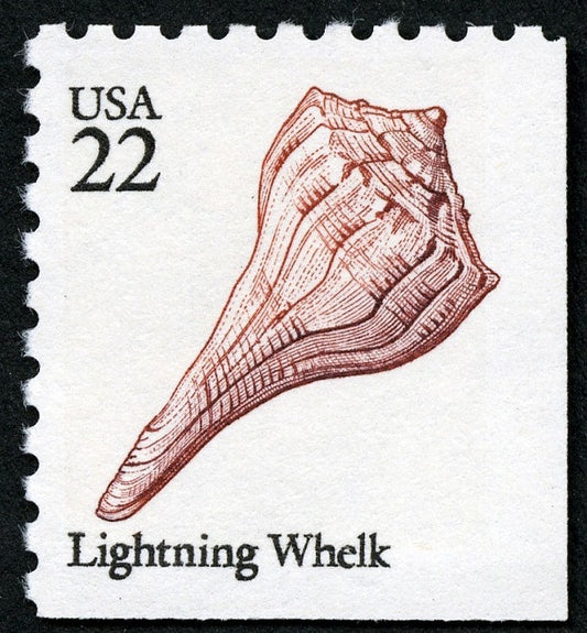 Five (5) vintage seashell postage stamps - Lightning Whelk seashell // 22 cent stamps // face value 1.10