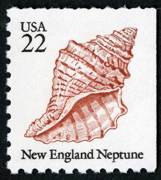 One (1) vintage seashell postage stamp - New England Neptune seashell // 22 cent stamp