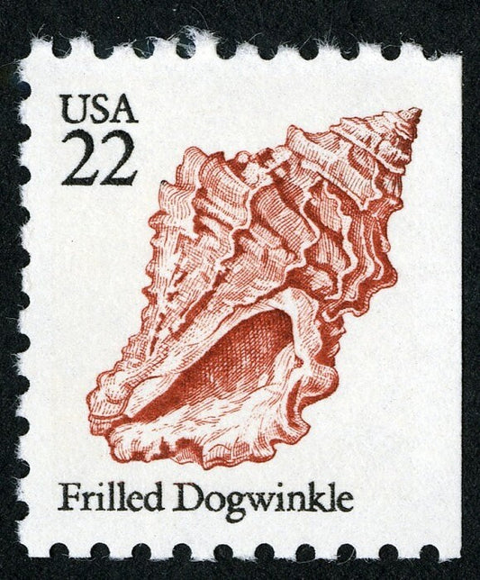 One (1) vintage seashell postage stamps - Frilled Dogwinkle seashell // 22 cent stamp