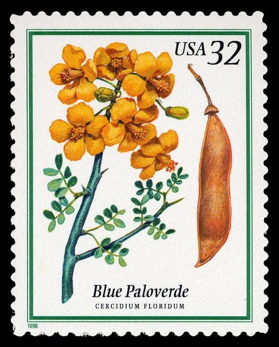 Five (5) unused flower postage stamps - Flowering trees, blue paloverde // 32 cent stamps // face value 1.60