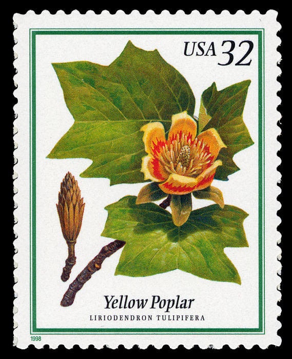 Five (5) unused flower postage stamps - Flowering trees, yellow poplar // 32 cent stamps // face value 1.60