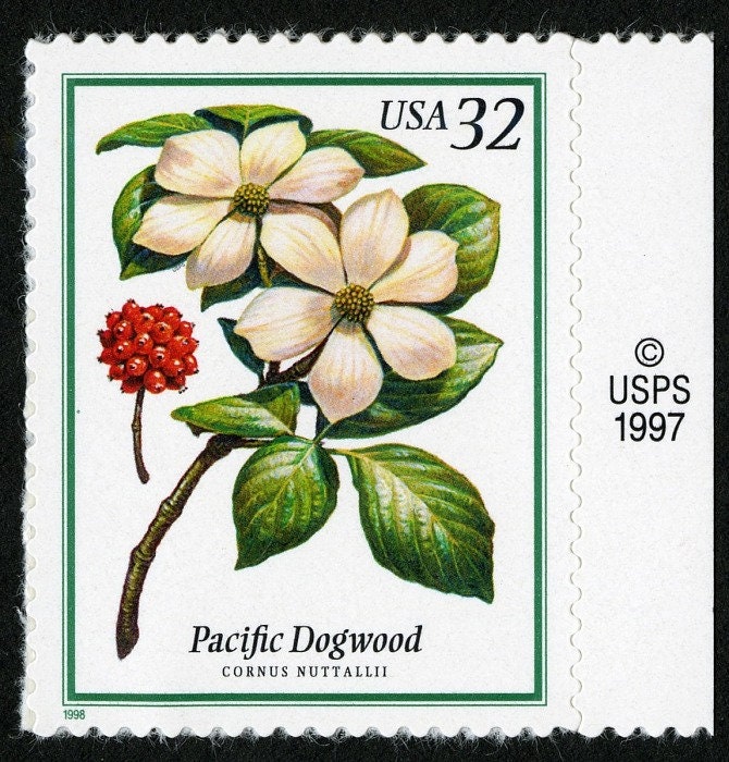 Five (5) unused flower postage stamps - Flowering trees, pacific dogwood // 32 cent stamps // face value 1.60