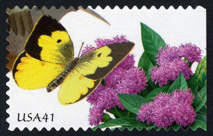 One (1) unused postage stamps - Pollination: Prairie Ironweed and Southern Dogface Butterfly // 41 cent stamp