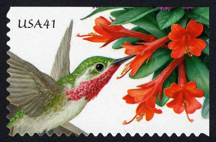 One (1) unused postage stamps - Pollination: Hummingbird Trumpet and Calliope Hummingbird // 41 cent stamp